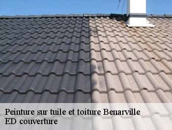 Peinture sur tuile et toiture  benarville-76110 ED couverture