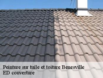 Peinture sur tuile et toiture  benesville-76560 ED couverture