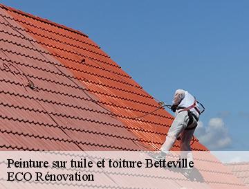 Peinture sur tuile et toiture  betteville-76190 ECO Rénovation