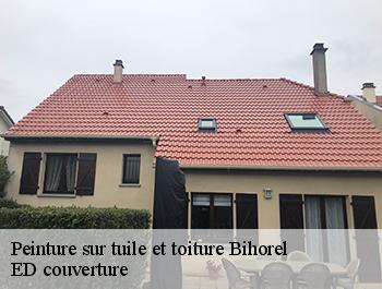 Peinture sur tuile et toiture  bihorel-76420 ED couverture