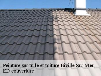 Peinture sur tuile et toiture  biville-sur-mer-76630 ED couverture