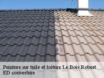 Peinture sur tuile et toiture  le-bois-robert-76590 ED couverture