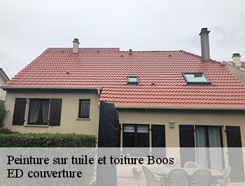 Peinture sur tuile et toiture  boos-76520 ED couverture