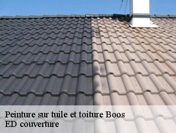 Peinture sur tuile et toiture  boos-76520 ED couverture