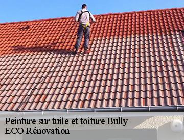 Peinture sur tuile et toiture  bully-76270 ECO Rénovation