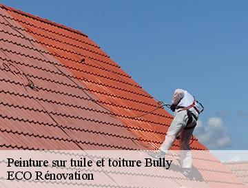 Peinture sur tuile et toiture  bully-76270 ECO Rénovation