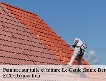 Peinture sur tuile et toiture  le-caule-sainte-beuve-76390 ECO Rénovation