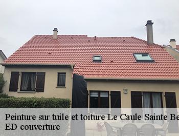 Peinture sur tuile et toiture  le-caule-sainte-beuve-76390 ED couverture