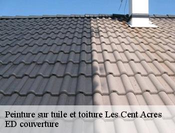 Peinture sur tuile et toiture  les-cent-acres-76590 ED couverture