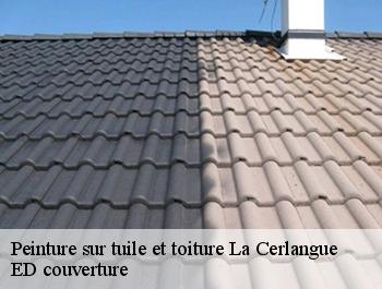 Peinture sur tuile et toiture  la-cerlangue-76430 ED couverture