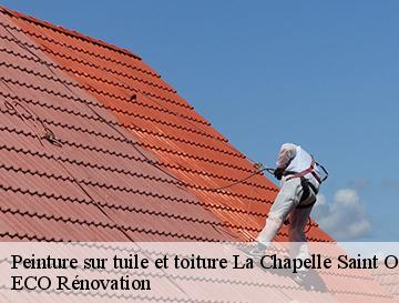 Peinture sur tuile et toiture  la-chapelle-saint-ouen-76780 ECO Rénovation