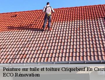 Peinture sur tuile et toiture  criquebeuf-en-caux-76111 ECO Rénovation