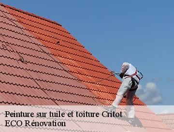 Peinture sur tuile et toiture  critot-76680 ECO Rénovation