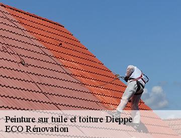 Peinture sur tuile et toiture  dieppe-76200 ECO Rénovation