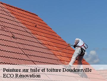 Peinture sur tuile et toiture  doudeauville-76220 ECO Rénovation