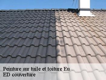 Peinture sur tuile et toiture  eu-76260 ED couverture