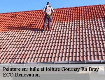 Peinture sur tuile et toiture  gournay-en-bray-76220 ECO Rénovation