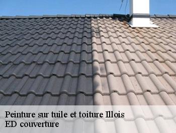 Peinture sur tuile et toiture  illois-76390 ED couverture