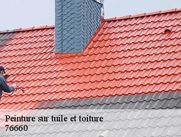 Peinture sur tuile et toiture  londinieres-76660 ECO Rénovation