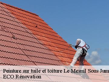 Peinture sur tuile et toiture  le-mesnil-sous-jumieges-76480 ECO Rénovation