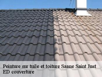 Peinture sur tuile et toiture  saane-saint-just-76730 ED couverture