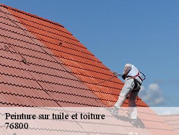 Peinture sur tuile et toiture  saint-etienne-du-rouvray-76800 ED couverture