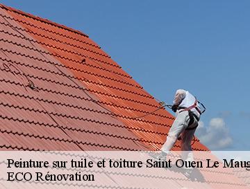 Peinture sur tuile et toiture  saint-ouen-le-mauger-76730 ECO Rénovation