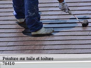 Peinture sur tuile et toiture  sotteville-sous-le-val-76410 ED couverture