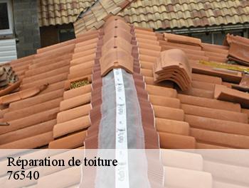 Réparation de toiture  ancretteville-sur-mer-76540 ED couverture