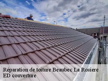 Réparation de toiture  beaubec-la-rosiere-76440 ED couverture