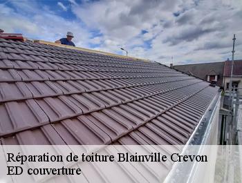 Réparation de toiture  blainville-crevon-76116 ED couverture