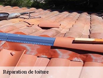 Réparation de toiture  cailleville-76460 ED couverture