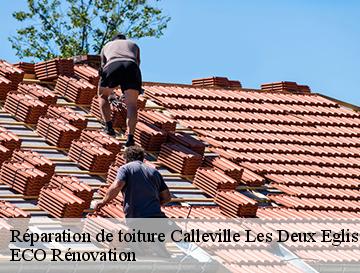 Réparation de toiture  calleville-les-deux-eglis-76890 ECO Rénovation