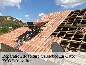 Réparation de toiture  caudebec-en-caux-76490 ECO Rénovation