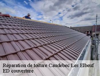 Réparation de toiture  caudebec-les-elbeuf-76320 ED couverture