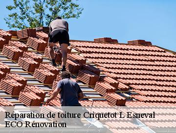 Réparation de toiture  criquetot-l-esneval-76280 ECO Rénovation