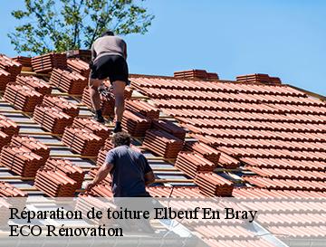 Réparation de toiture  elbeuf-en-bray-76220 ECO Rénovation