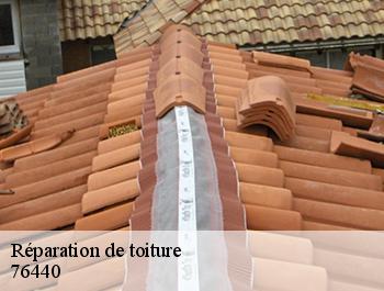 Réparation de toiture  fontaine-en-bray-76440 ED couverture