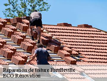 Réparation de toiture  freulleville-76510 ECO Rénovation