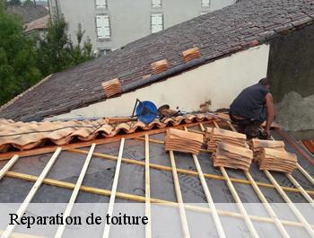 Réparation de toiture  hautot-sur-seine-76113 ED couverture