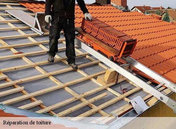 Réparation de toiture  longuerue-76750 RS couvreur 76