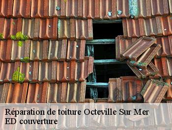 Réparation de toiture  octeville-sur-mer-76930 ED couverture