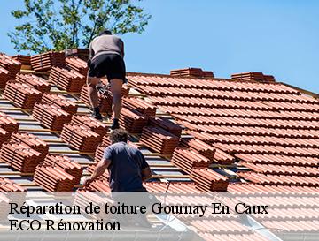 Réparation de toiture  gournay-en-caux-76700 ECO Rénovation