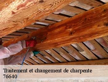 Traitement et changement de charpente  alvimare-76640 ED couverture