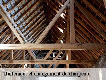 Traitement et changement de charpente  alvimare-76640 ED couverture