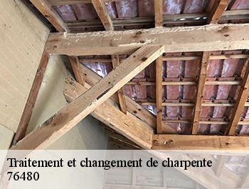 Traitement et changement de charpente  ambourville-76480 ED couverture