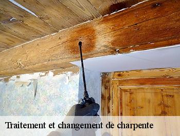 Traitement et changement de charpente  ambourville-76480 ED couverture