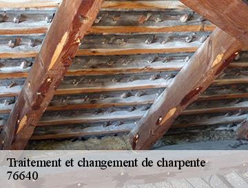 Traitement et changement de charpente  auzouville-auberbosc-76640 ECO Rénovation