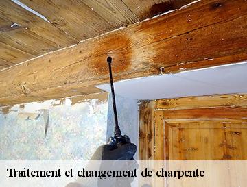 Traitement et changement de charpente  auzouville-auberbosc-76640 ECO Rénovation