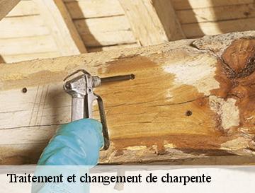 Traitement et changement de charpente  auzouville-auberbosc-76640 ECO Rénovation